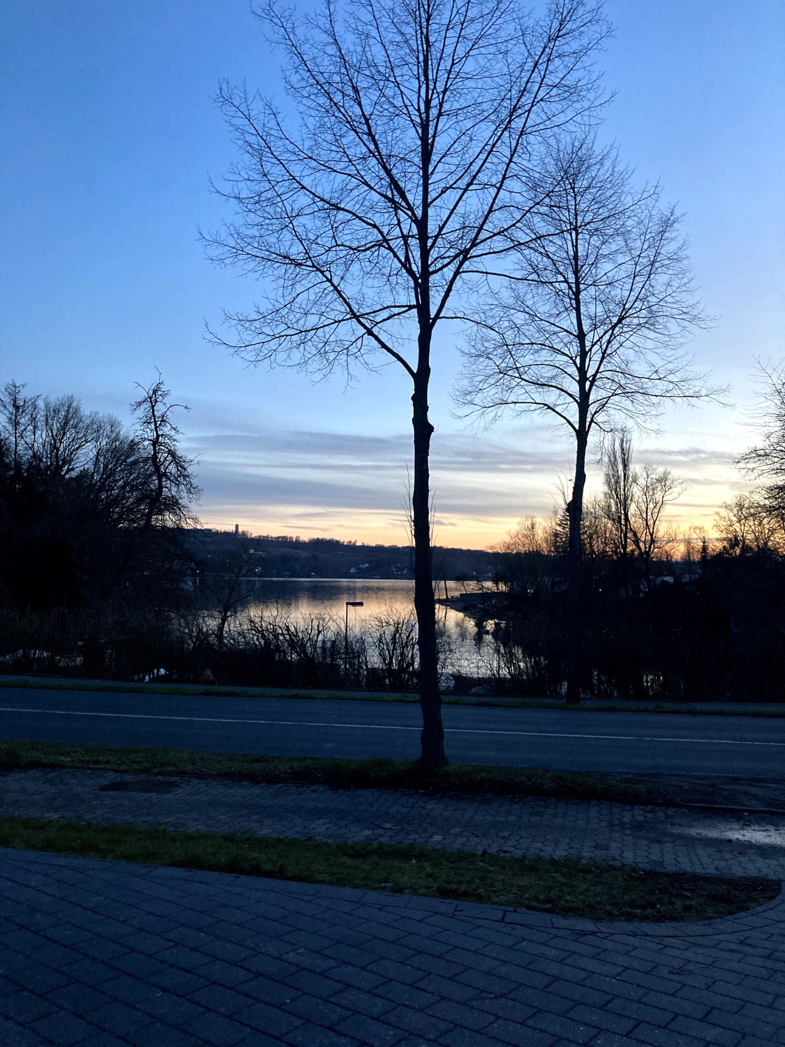Der Möhnesee in der Dämmerung, jenseits der Straße gesehen, mit kahlen Baumsilhouetten vor einem orangefarbenen Abendhimmel und dunklem Ufer.