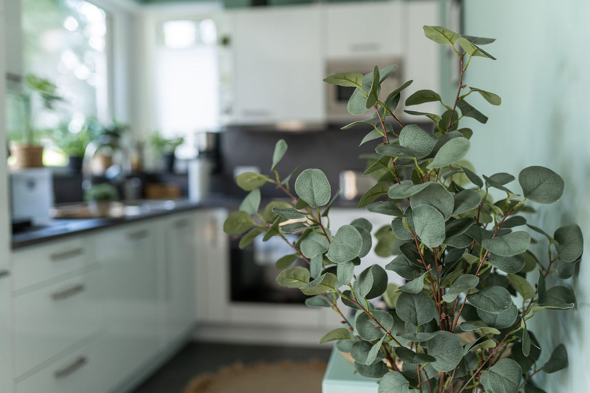Erste Ferienwohnung von LiteLiving, frisch eingerichtet